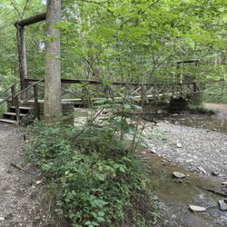 Cedar Creek Park - Walking trails