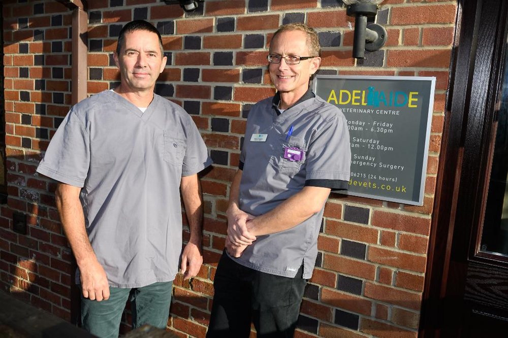 ADELAIDE VETERINARY CENTRE Updated September 2024 16 Photos Long Lane, Southampton