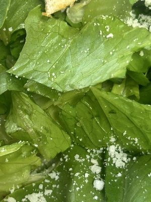 Cafe Fontana by null