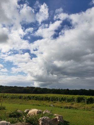 Hinterland Wine Company by null