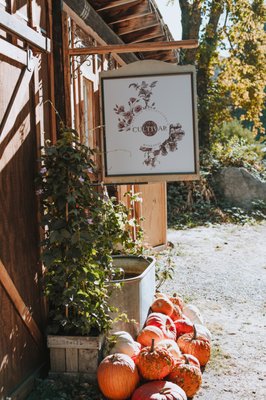 Stone Soup Farm & Heritage Orchard by null