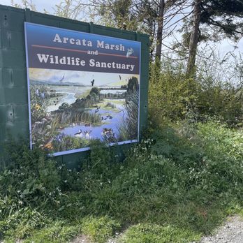 Arcata Marsh Interpretive Center - Pretty sign! - Museums Near Me - Arcata, California
