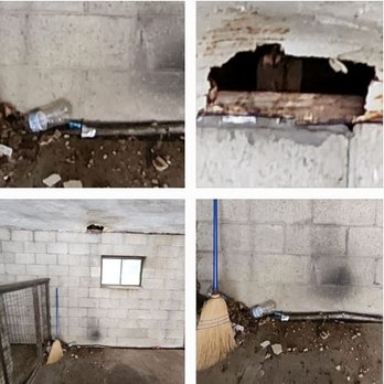 Nexus Real Estate - Apartments Near Me - Pittsburgh, Pennsylvania