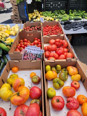 Sunday Marin Farmers' Market by null