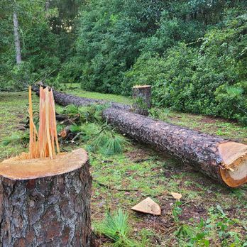 Gene Rivers Tree Service - Two of the large pine trees Gene Rivers and crew took down! - Tree Services Near Me - Whistler, Alabama