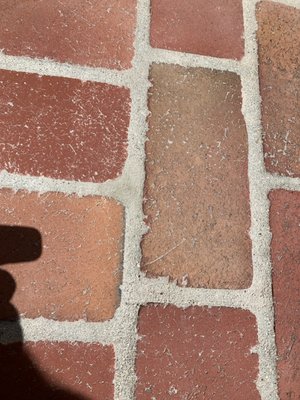 THRASHER TERMITE & PEST CONTROL - Updated January 2025 - 27 Photos