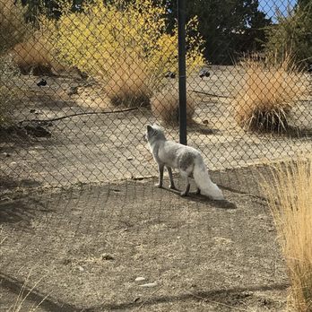 Animal Ark - Zoos Near Me - Reno, Nevada Animal Ark - Zoos Near Me - Reno, Nevada