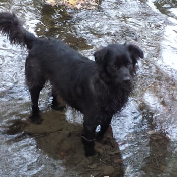 JRs Pups-N-Stuff Dog Rescue - Tucker, adopted from Jrs! - Animal Shelters Near Me - West Allis, Wisconsin JRs Pups-N-Stuff Dog Rescue - Tucker, adopted from Jrs! - Animal Shelters Near Me - West Allis, Wisconsin