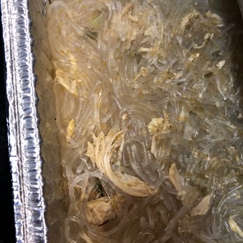 808 Xpress Kitchen - Chicken Long Rice - Caterers Near Me - Waianae, Hawaii