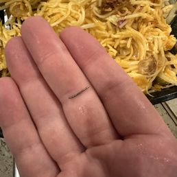Drunken Noodles - be careful may contain metal shards Drunken Noodles - be careful may contain metal shards