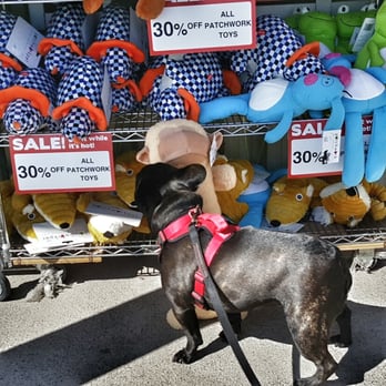 Ren's Pets - Pet Stores Near Me - Oakville, Ontario