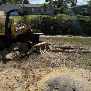 Oceanside Tree Service - Tree Services Near Me - Satellite Beach, Florida