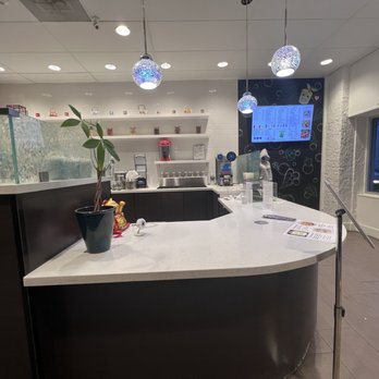 Boba Tea & Me - Bubble Tea Near Me - Santa Monica, California