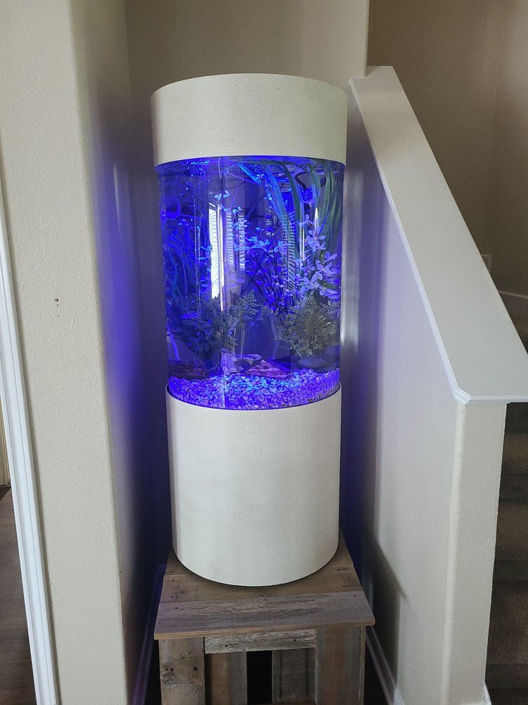 AQUARIUM CLEANING SERVICES Updated September 2024 12 Photos