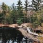Photo of Mitchell's Nuisance Wildlife Solutions