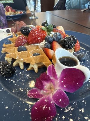 Inn at Whitewing Farm by null