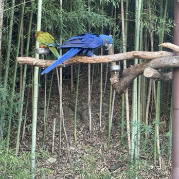 Fort Worth Zoo - Zoos Near Me - Fort Worth, Texas