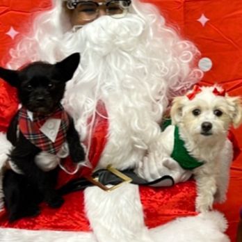 Harbor Animal Services Center - Animal Shelters Near Me - San Pedro, California