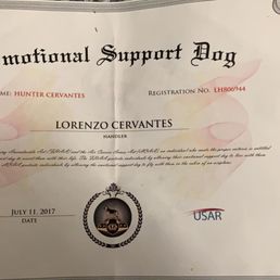 a certificate from the international support dog a certificate from the international support dog