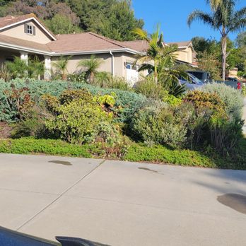Landscape Pro Services - Landscaping Near Me