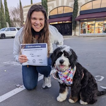 Petco - Not only did Willow finish her puppy training, she also became AKC Canine Good Citizen certified - Pet Stores Near Me - San Ramon, California Petco - Not only did Willow finish her puppy training, she also became AKC Canine Good Citizen certified - Pet Stores Near Me - San Ramon, California