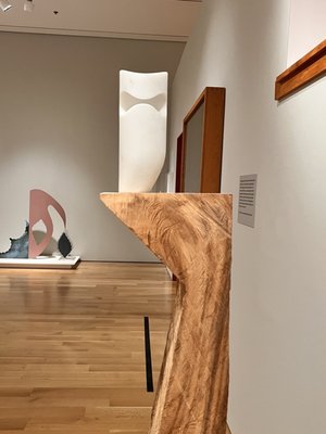 Speed Art Museum by null