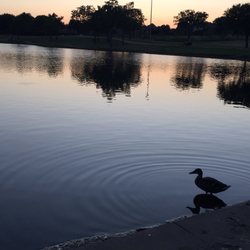 Hutton Branch Trail - Female mallard by the pond just past sunset!