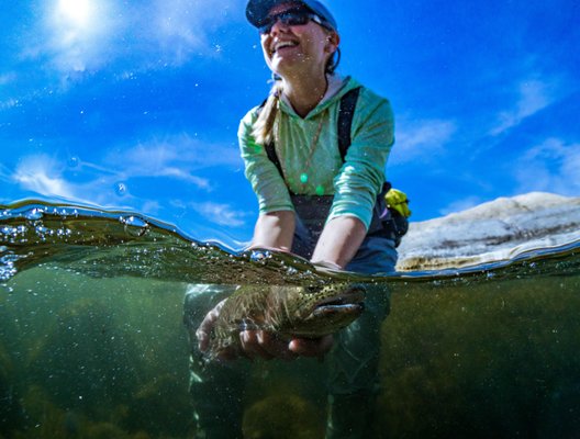 Gallatin River Guides by null