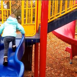 Perkin's Park - Febby