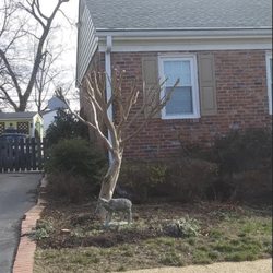 Tip top tree service