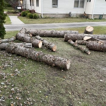 Alex & Sons Complete Tree Service - Tree Services Near Me - Clyde Township, Michigan Alex & Sons Complete Tree Service - Tree Services Near Me - Clyde Township, Michigan