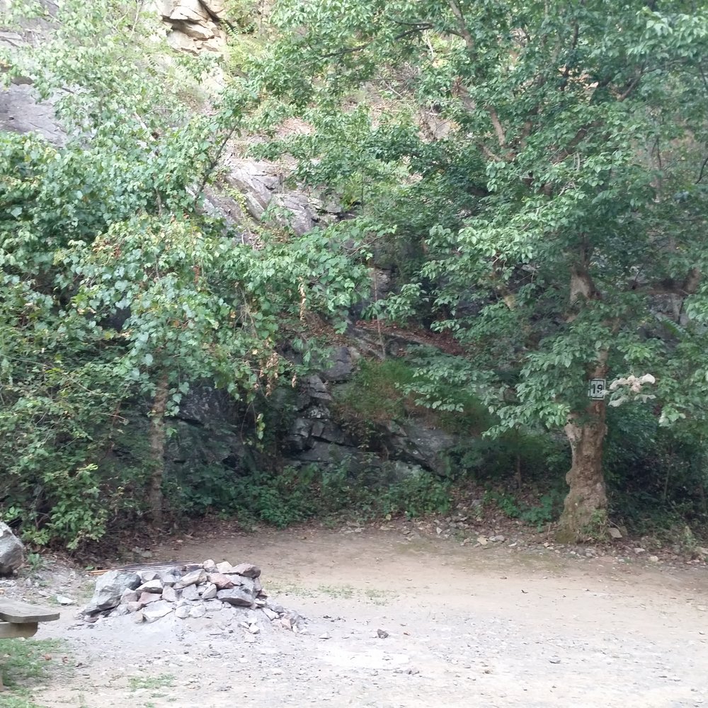 Gooney Creek Campground - Site 19 - Campgrounds Near Me - Front Royal, Virginia