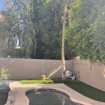 Innovation Tree Care - Tree Services Near Me