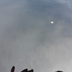 Bird poop on roof