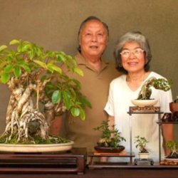 Fuku-Bonsai Cultural Center