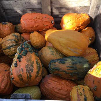 Delicious Orchards - Fruits & Veggies Near Me - Colts Neck, New Jersey