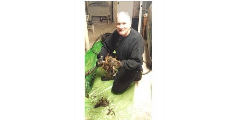 Slide of The Drain Medic