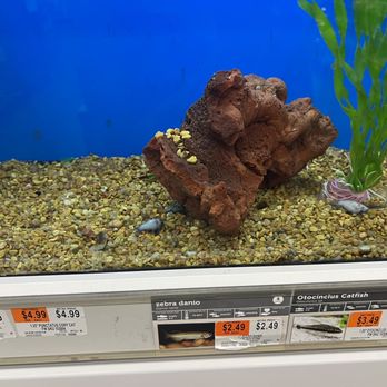Petco - Pet Groomers Near Me - Revere, Massachusetts