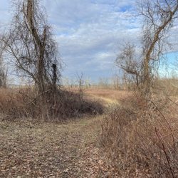 Baxter Preserve