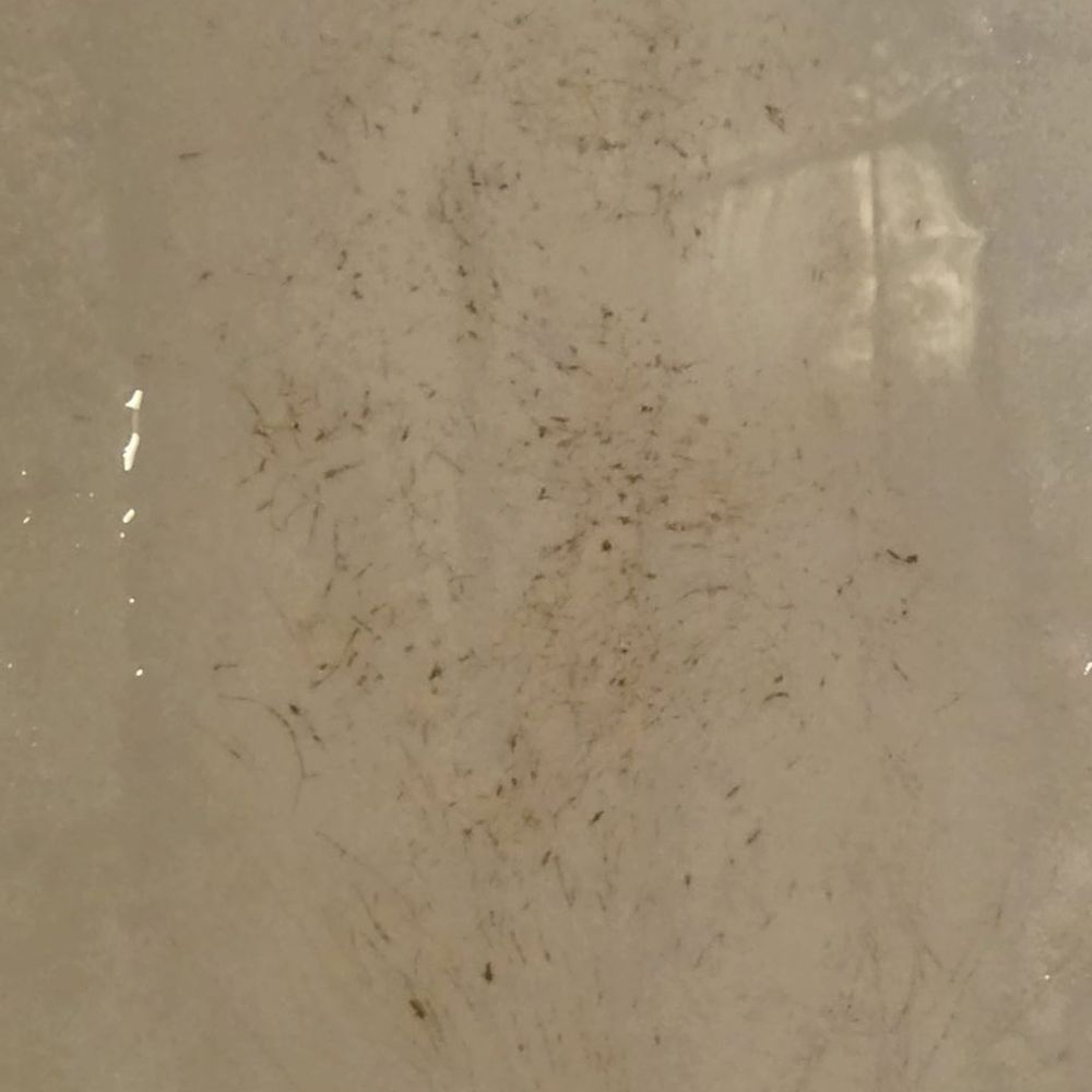 Bathtub floor Bathtub floor