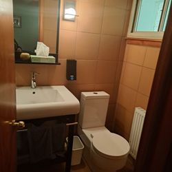 The Usonian Inn LLC - Bathroom that i got instead of what i paid for