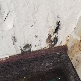 Quality Inn & Suites Arnold - St Louis - black mold - Hotels Near Me - Arnold, Missouri Quality Inn & Suites Arnold - St Louis - black mold - Hotels Near Me - Arnold, Missouri