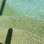 Photo of Wet Splash Pool Service