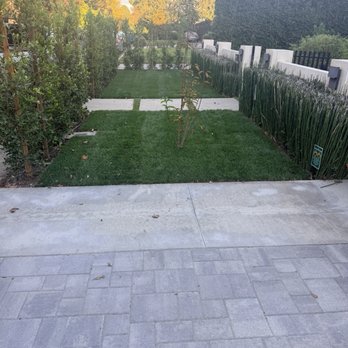 A To Z Landscaping - Dirt removed with fresh soil, put in with sod laid down, with ficus' on the surrounding area and a clean paver job in the front - Landscaping Near Me - Glendale, California