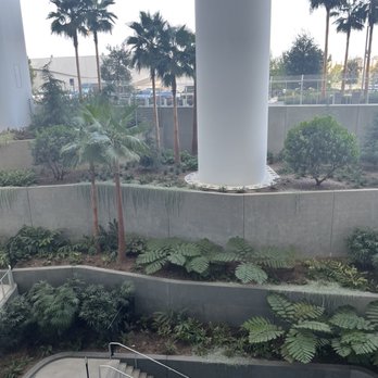 SoFi Stadium - Landscaping inside the stadium - Stadiums & Arenas Near Me - Inglewood, California