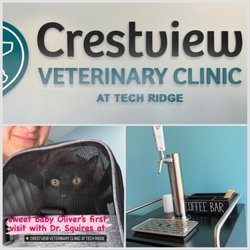 Crestview Veterinary Clinic at Tech Ridge