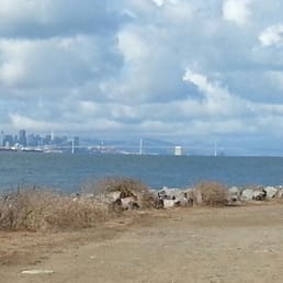 Great trail run with a gorgeous view of the bay and the city. Great trail run with a gorgeous view of the bay and the city.