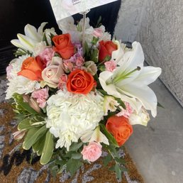Apricot Blooms
