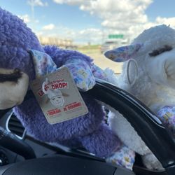 Stuffy's for my fur baby. They're bigger than her.