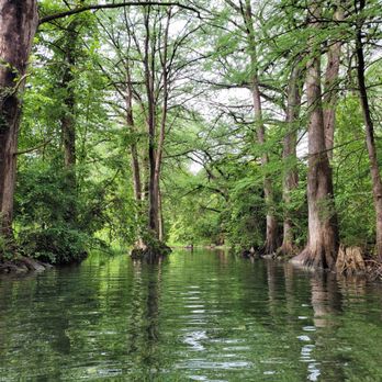 Blue Hole Regional Park - Parks Near Me - Wimberley, Texas Blue Hole Regional Park - Parks Near Me - Wimberley, Texas
